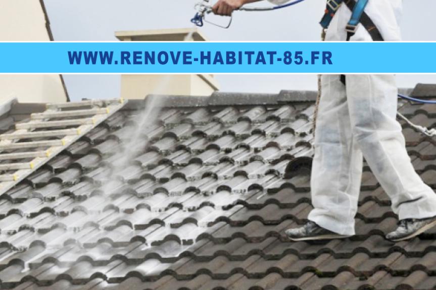 Rénovation peinture 85