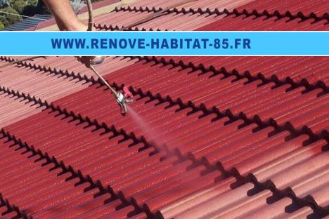 Nettoyage et traitement ravalement 85