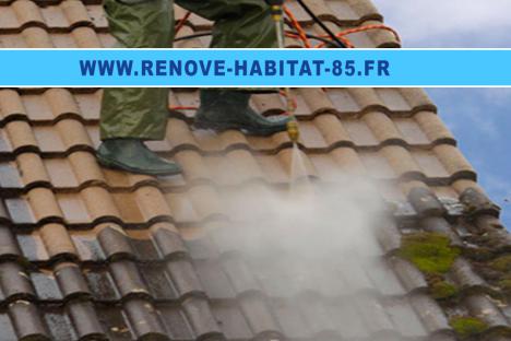 Nettoyage et traitement ravalement 85